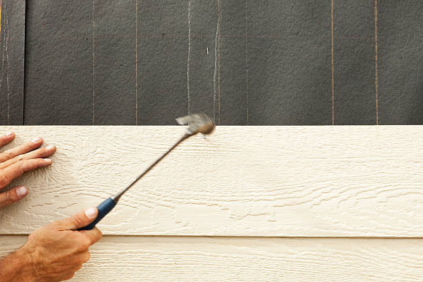 Best Fascia and Soffit Installation  in Kraemer, LA